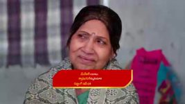 Paape Maa Jeevana Jyothi S01 E827 Seenu Is Shattered