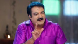 Padamati Sandhyaragam S01 E380 5th December 2023