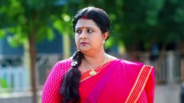 Radhaku Neevera Praanam S01 E202 14th December 2023