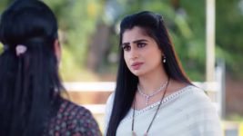 Radhaku Neevera Praanam S01 E215 29th December 2023