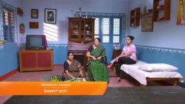 Sathya (Kannada) S01 E802 1st January 2024