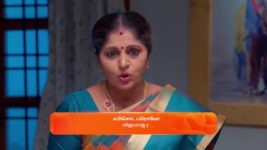 Seetha Ramam S01 E246 28th December 2023