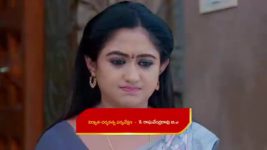 Yeda Loyallo Indradhanasu S01 E204 Pardhu, Amulya Tie the Knot