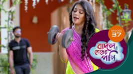 Badal Shesher Pakhi S01 E37 19th December 2023