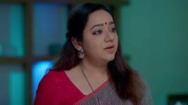 Guppedantha Manasu S01 E940 Vasudhara's Quest for Rishi