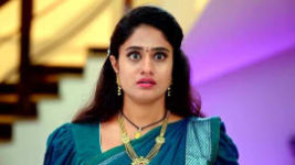 Jagadhatri (zee telugu) S01 E10 31st August 2023