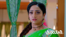 Trinayani (Kannada) S01 E896 12th December 2023