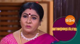 Vanathai Pola S01 E934 28th December 2023