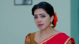 Ammayi Garu S01 E381 17th January 2024