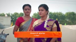 Anna (Tamil) S01 E230 26th January 2024