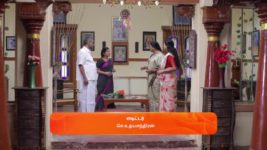 Idhayam S01 E119 17th January 2024