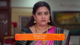 Karthigai Deepam S01 E358 16th January 2024