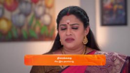 Karthigai Deepam S01 E359 17th January 2024