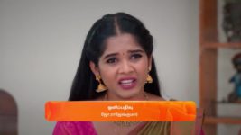 Karthigai Deepam S01 E365 23rd January 2024