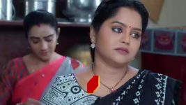 Maamagaru (Star Maa) S01 E100 Pandu Has a Plan