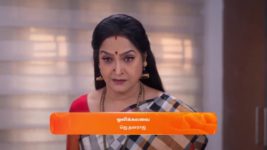 Maari S01 E434 15th January 2024