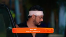 Nala Damayanthi S01 E77 5th January 2024