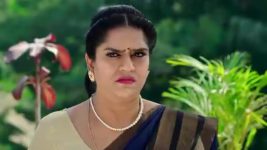 Paape Maa Jeevana Jyothi S01 E836 Padma Consoles Simhadri