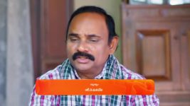 Padamati Sandhyaragam S01 E414 13th January 2024