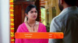 Padamati Sandhyaragam S01 E425 26th January 2024