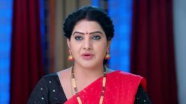 Punarvivaha S01 E848 17th January 2024