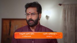 Sandhya Raagam (Tamil) S01 E74 19th January 2024