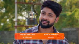 Sandhya Raagam (Tamil) S01 E81 28th January 2024