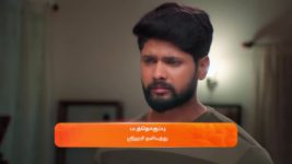 Sandhya Raagam (Tamil) S01 E83 30th January 2024