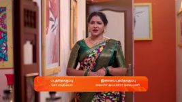 Seetha Ramam S01 E249 2nd January 2024