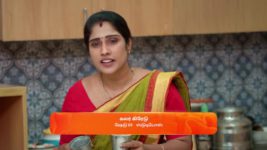 Seetha Ramam S01 E252 5th January 2024