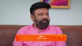 Seetha Ramam S01 E262 19th January 2024