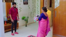 Trinayani (Kannada) S01 E917 10th January 2024