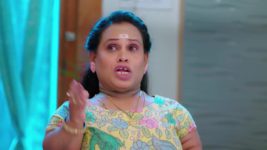 Trinayani (Kannada) S01 E930 29th January 2024