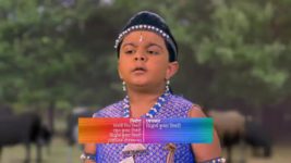 Hathi Ghoda Palki Jai Kanhaiya Lal Ki (Star Bharat) S01E69 Kamdhenu at Kaanha's Aid Full Episode