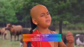 Hathi Ghoda Palki Jai Kanhaiya Lal Ki (Star Bharat) S01E70 Kaanha Saves the Day Full Episode