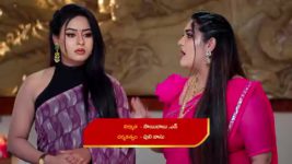 Naga Panchami (Star Maa) S01 E250 Naga Sadhu's Advice to Panchami