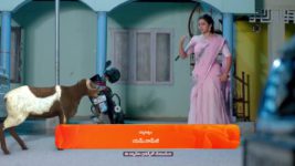 Ammayi Garu S01 E408 17th February 2024