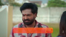 Anna (Tamil) S01 E247 12th February 2024