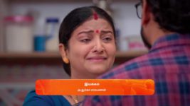 Anna (Tamil) S01 E248 13th February 2024