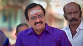 Anna (Tamil) S01 E249 14th February 2024