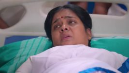 Anna (Tamil) S01 E250 15th February 2024