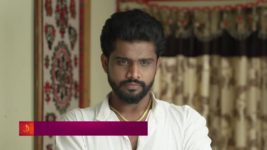 Appi Aamchi Collector S01 E482 13th February 2024