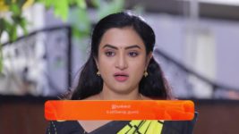 Idhayam S01 E132 1st February 2024