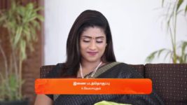 Indira S01 E393 1st March 2024