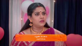 Karthigai Deepam S01 E374 1st February 2024