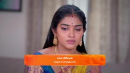 Karthigai Deepam S01 E375 2nd February 2024