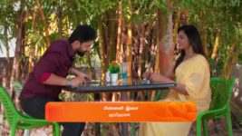 Karthigai Deepam S01 E377 4th February 2024