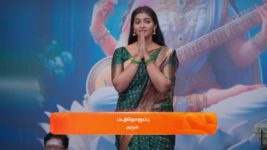 Karthigai Deepam S01 E393 20th February 2024