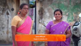 Karthigai Deepam S01 E396 23rd February 2024