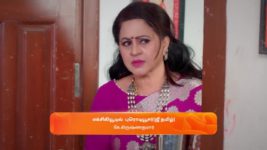 Karthigai Deepam S01 E398 25th February 2024